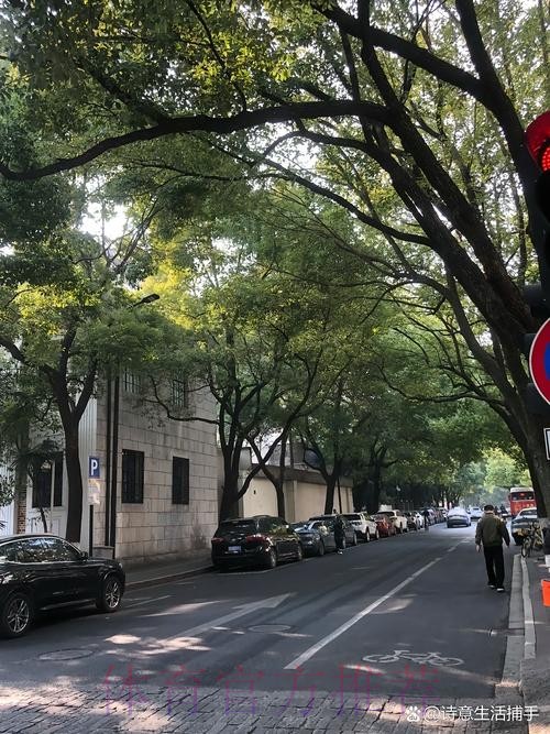 杨瀚森工作室:七天六赛&年轻的肩膀扛得起一场又一场的渴望 杨瀚森工作室:七天六赛&年轻的肩膀扛得起一场又一场的渴望